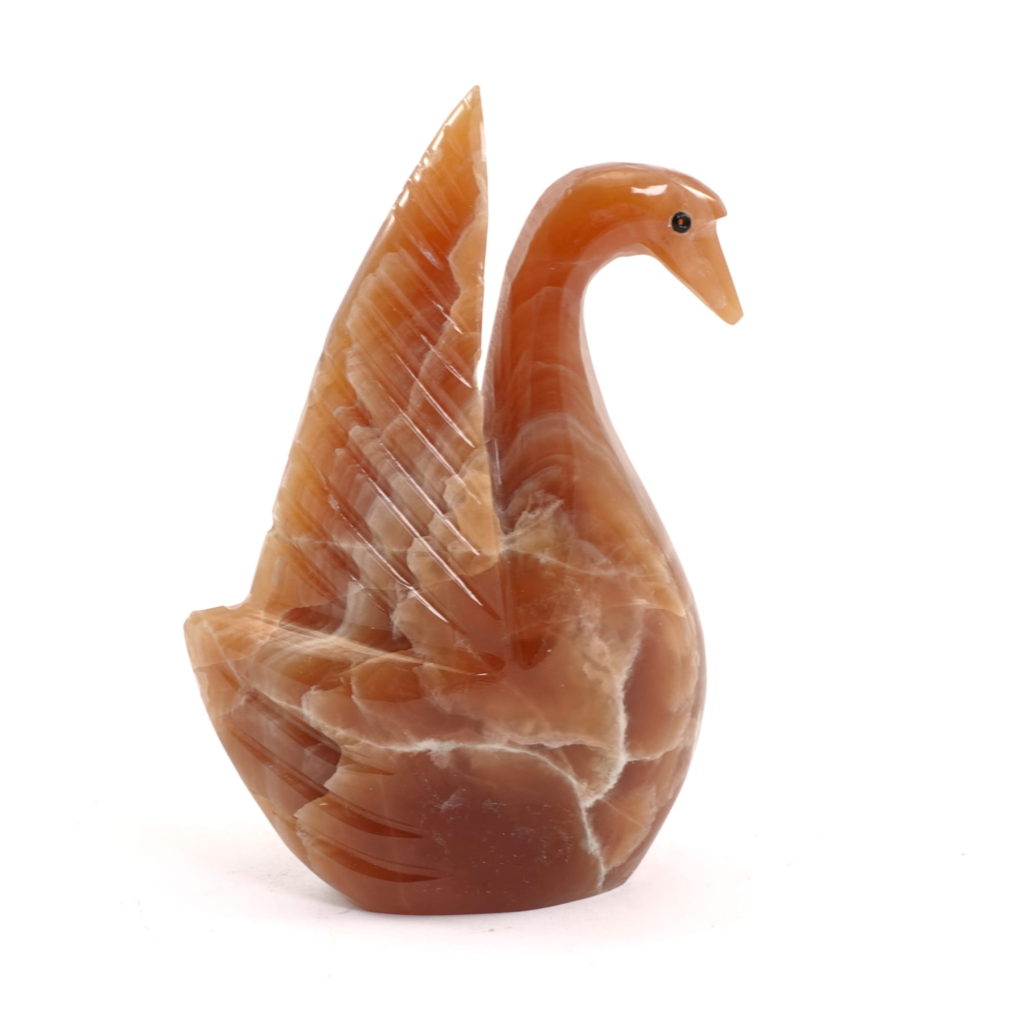 Proverbio: Las piedras