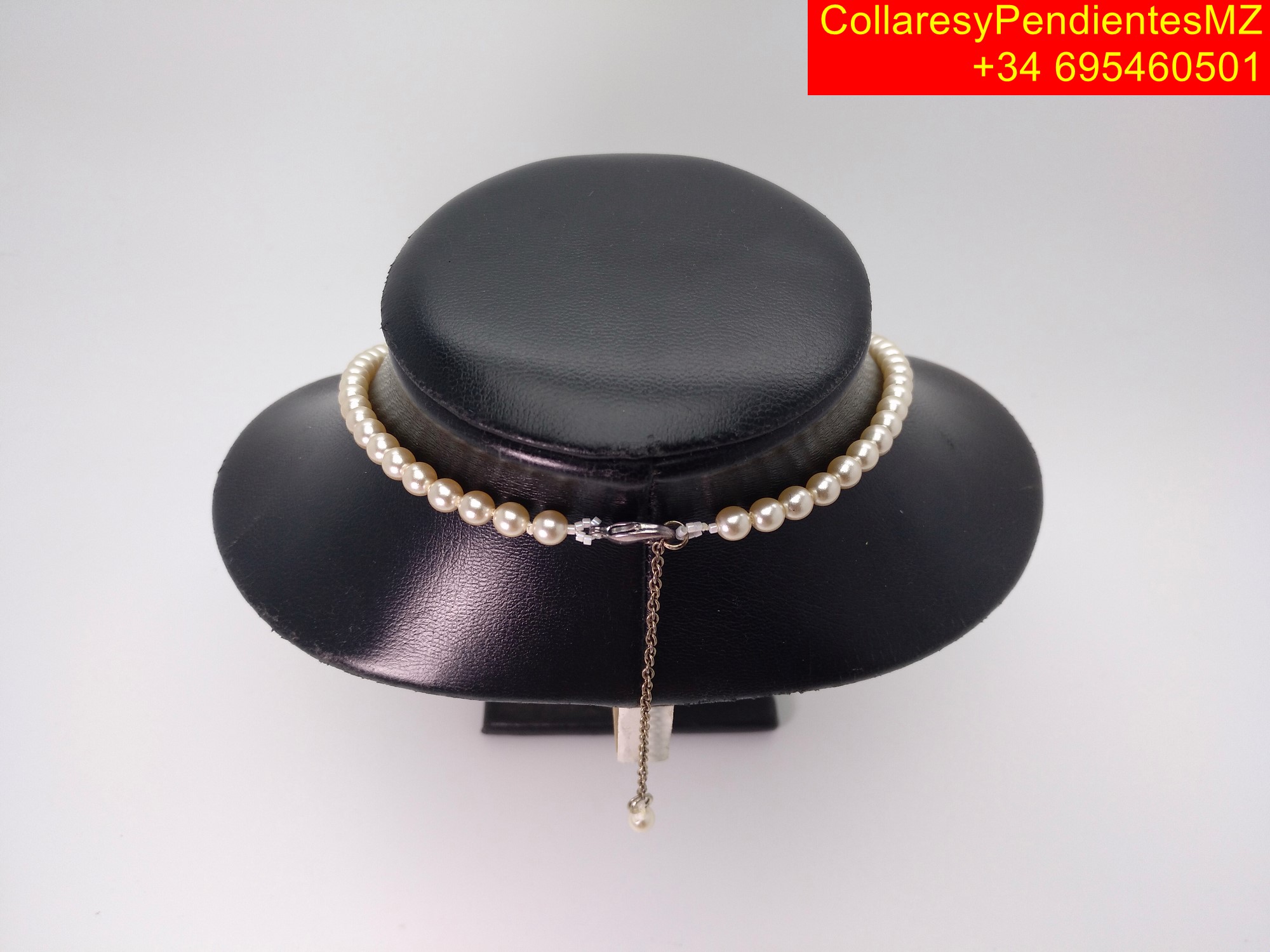 IMG 20260108 195444 547 Copiar