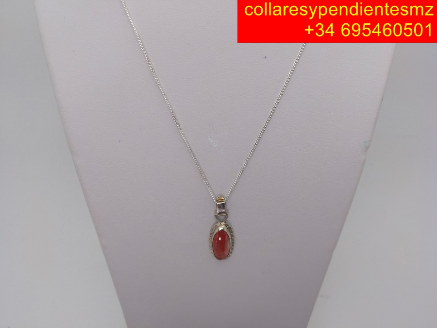 IMG 20260222 105502 654 Copiar