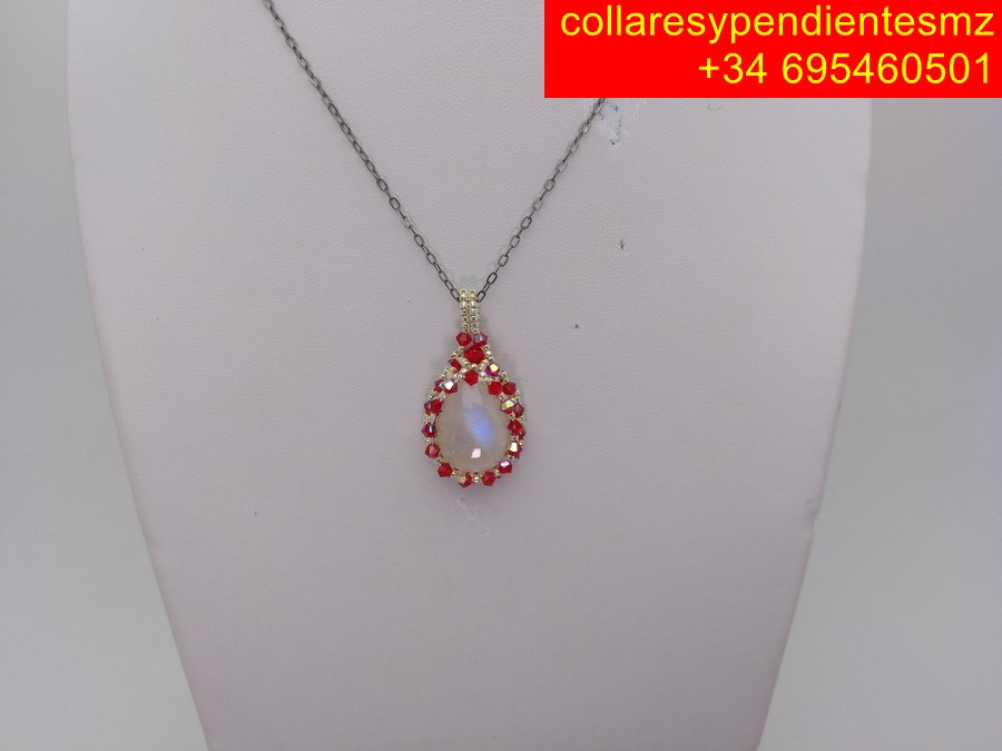 IMG 20260222 105858 705 Copiar 1