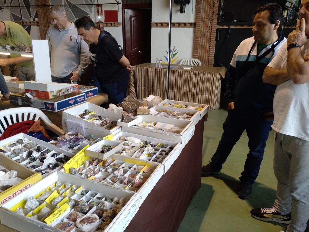 IMG 20240420 101207 018 0